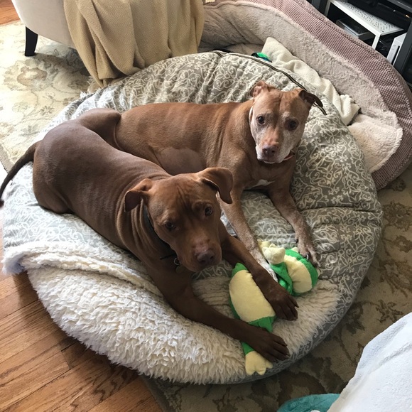 Hey there! - Picture 5 of 7